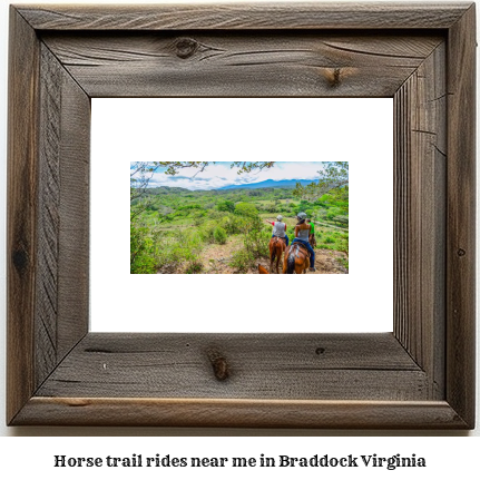 horse trail rides near me in Braddock, Virginia